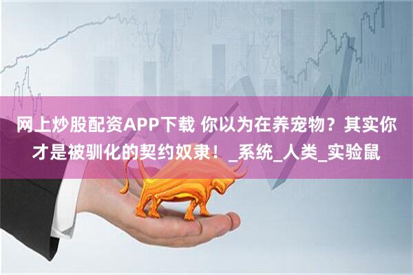 网上炒股配资APP下载 你以为在养宠物？其实你才是被驯化的契约奴隶！_系统_人类_实验鼠