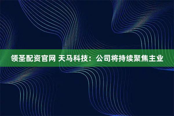 领圣配资官网 天马科技：公司将持续聚焦主业